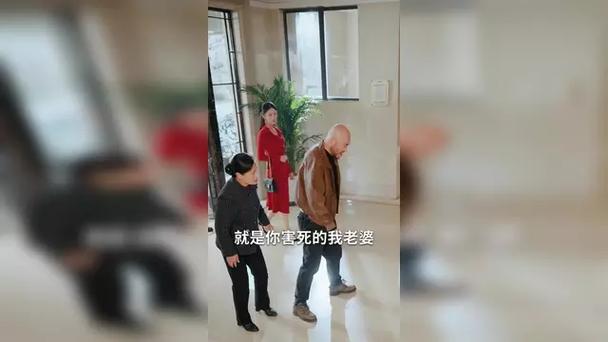 新澳2025年最新版资料柳媚花明:两女扮孕妇碰瓷多车