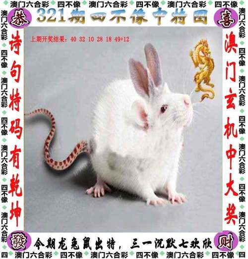 新澳彩免费长期资料大全:2元面包收割创业者