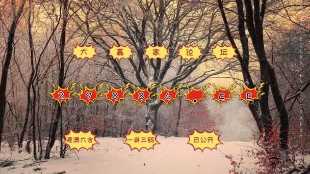新澳彩免费长期资料大全:孤老去世邻居争房产