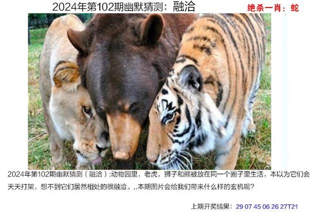 新澳彩免费长期资料大全:在外务工老宅被拆
