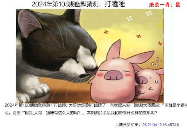 澳彩资料免费提供资料:中国夫妇在澳遭殴打