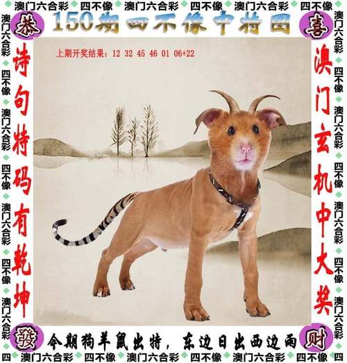 新澳彩免费长期资料大全:每月花780抱树放松