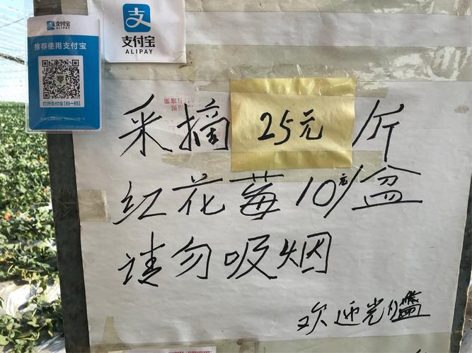 新澳2025年最新版资料柳媚花明:向棋牌室借4000赌博